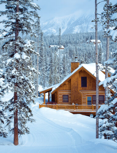 Hibernation Station: Preparing for Winter on the Homestead Image